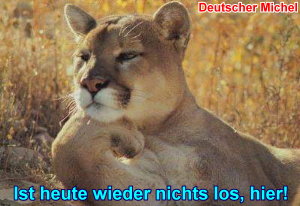 Banken in der Euro - Zone 569151