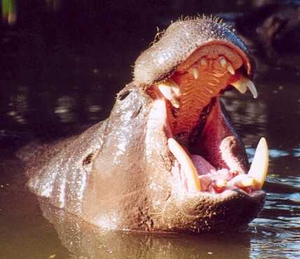 Leute schnell noch positionieren! 161900