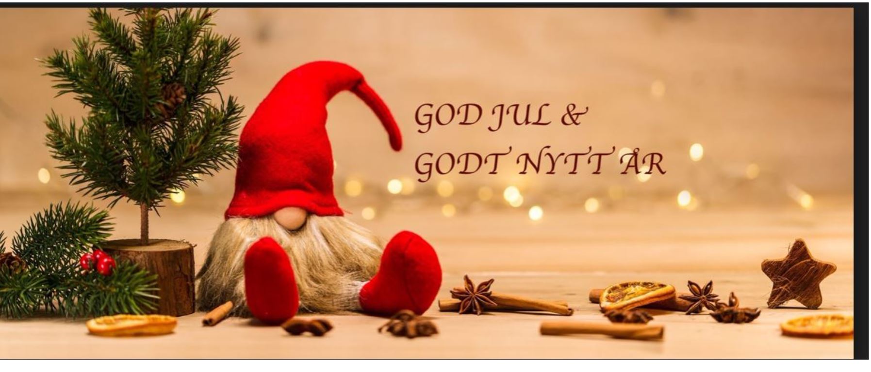 Nel ASA mit neuen Aufträgen aus Frankreich 1088576