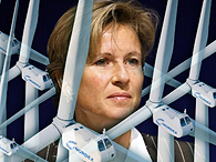 Windmaster Nordex 402195