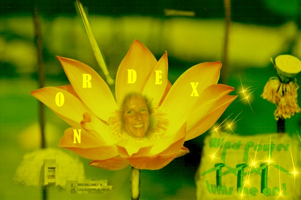 ** News zu Nordex ** (SPAM-FREE) 362302