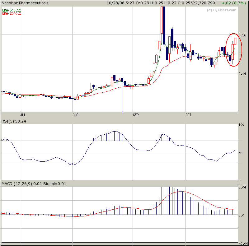 Investiert in den Multi-Blockbuster! 64182