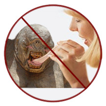 Altcoins - besser als Bitcoins? 704061