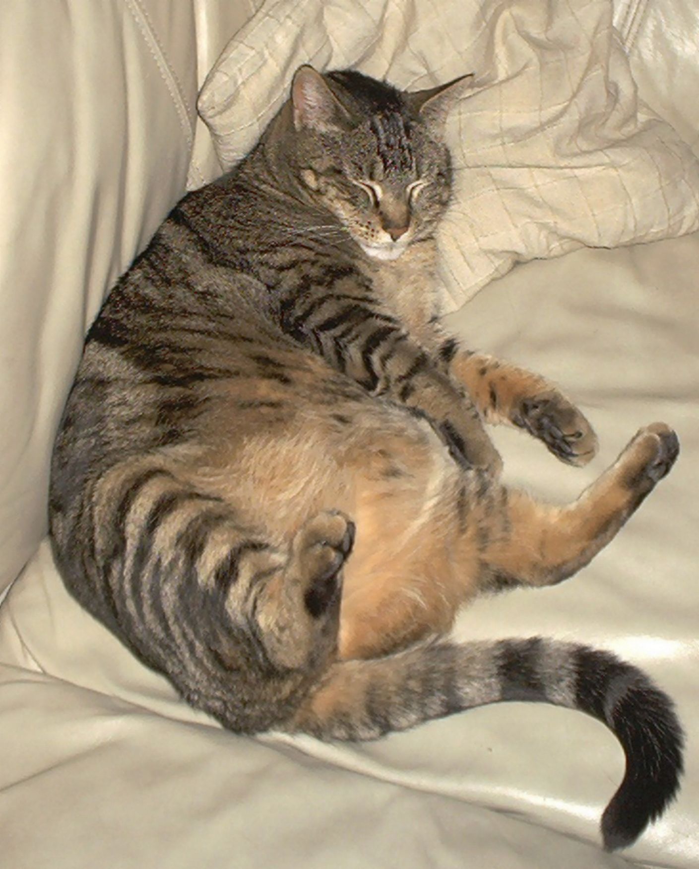 MyHammer - Europe 75416