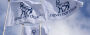 Novo-Nordisk - Insulinpräparate 33321861