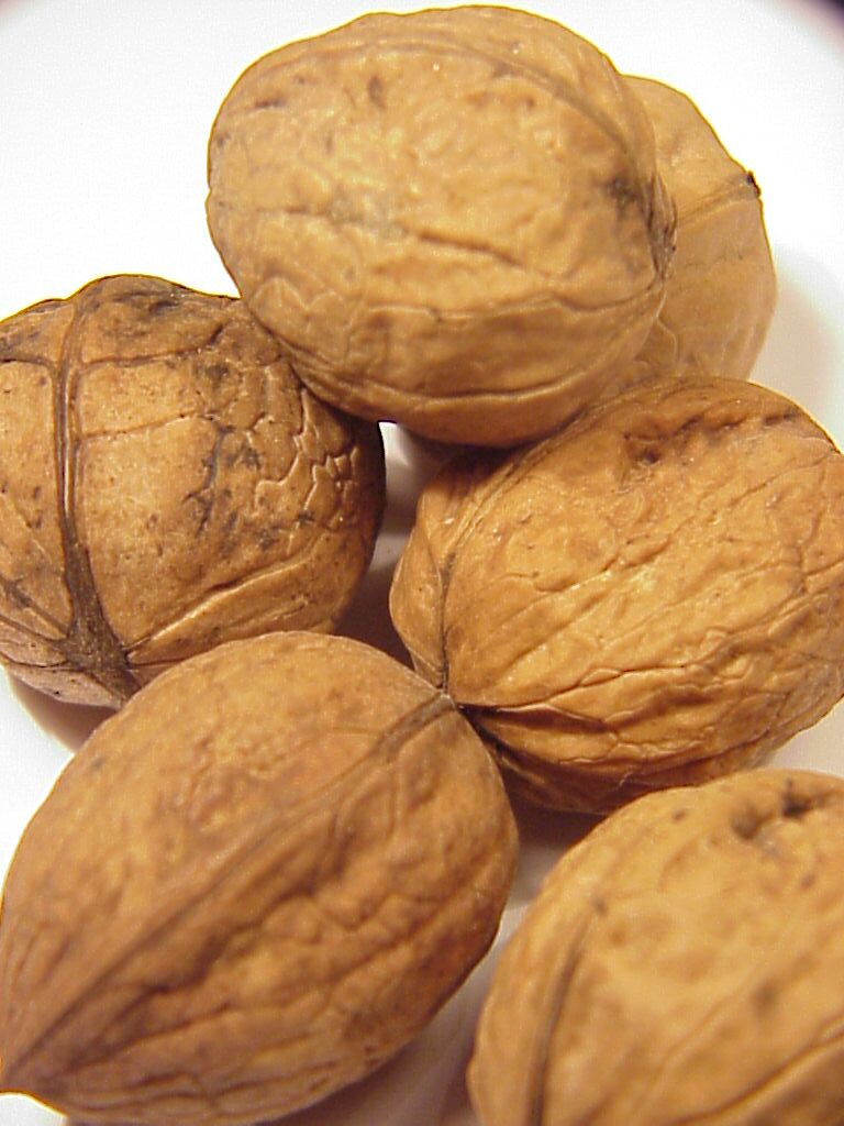 ** News zu Roth & Rau ** (SPAM-FREE) 301359