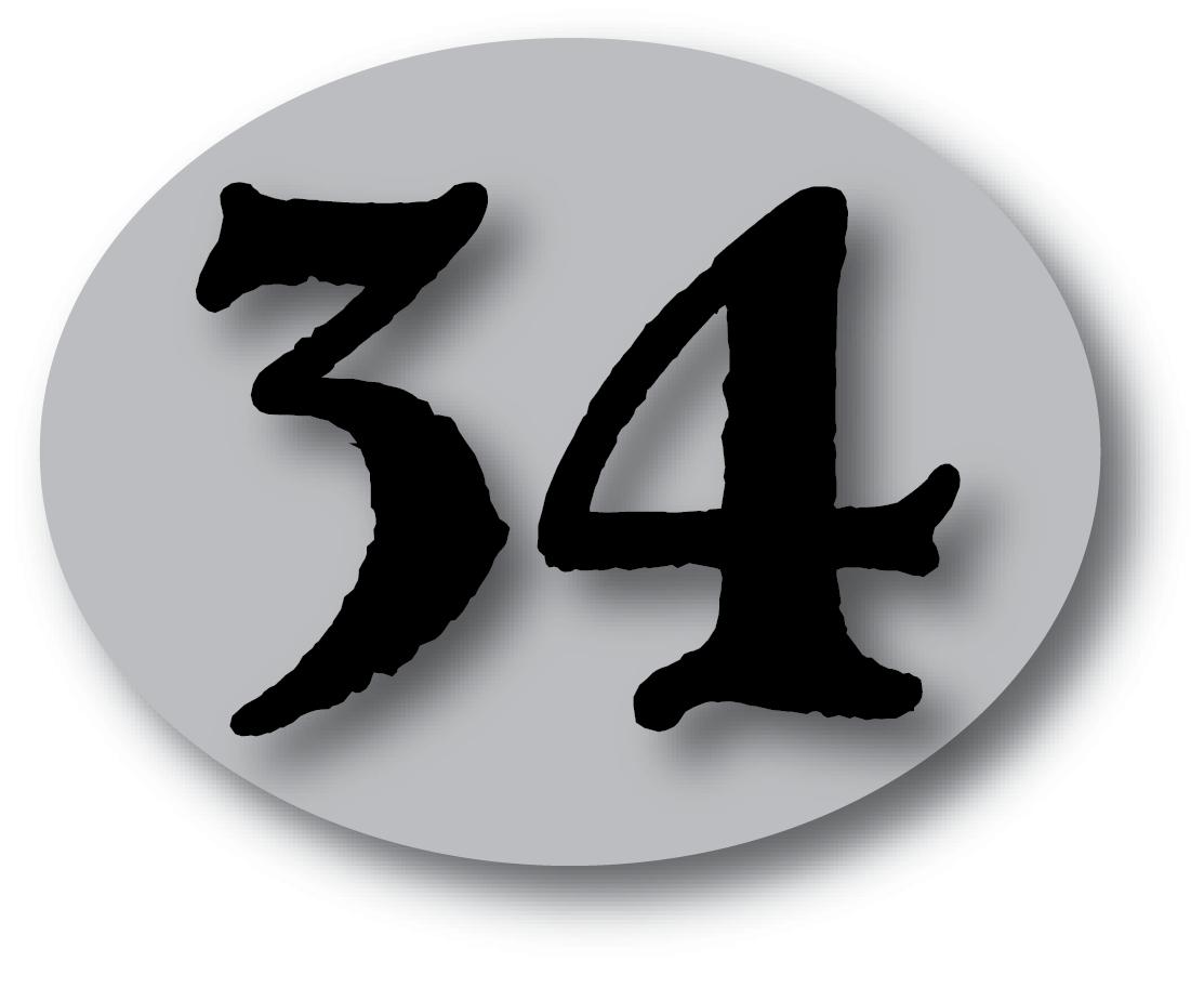 SILVER 463013