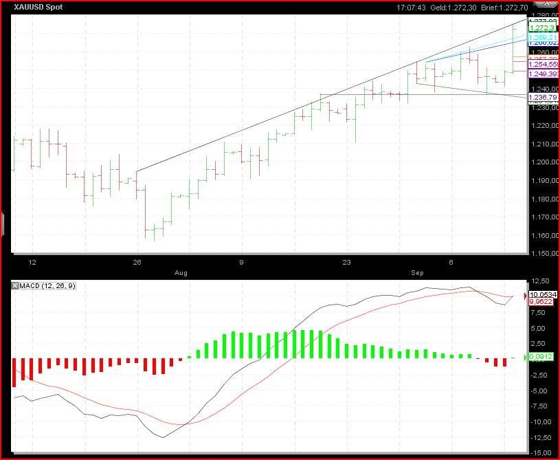 Gundels kleine Marktanalyse 345037