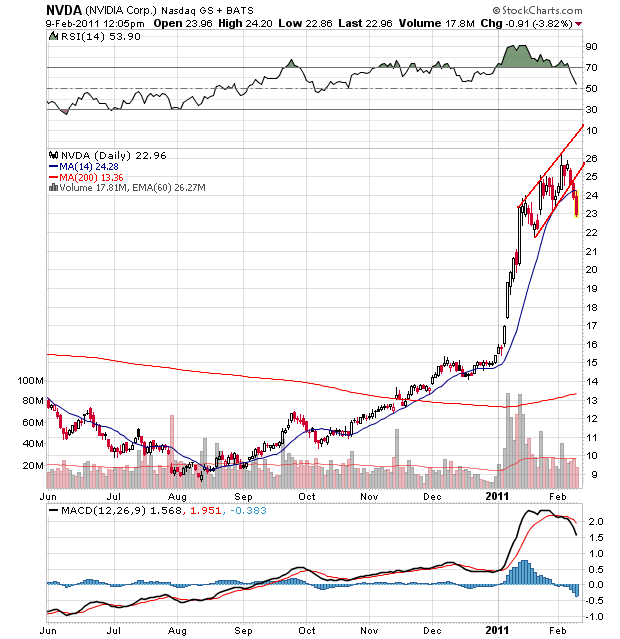 Der USA Bären-Thread 379691