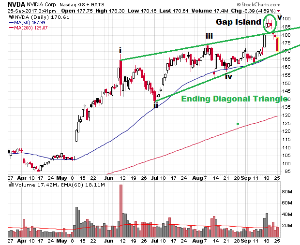 Der USA Bären-Thread 1014399