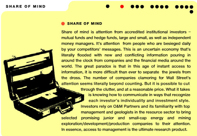 VG Gold ( ISIN: CA9182161021 ) 165898