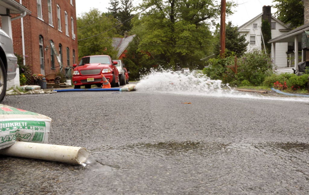 Der USA Bären-Thread 595759