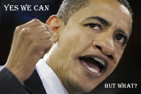 Der USA Bären-Thread 293445