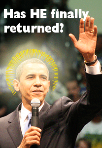 Stöffens Senf 205416