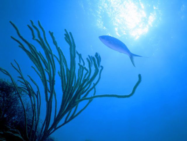 624.DAX Tipp-Spiel, Freitag, 21.09.07 121425