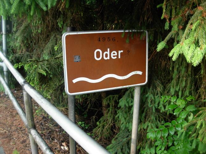 1.060.DAX Tipp-Spiel, Dienstag,16.06.09,17:45 Uhr 238911