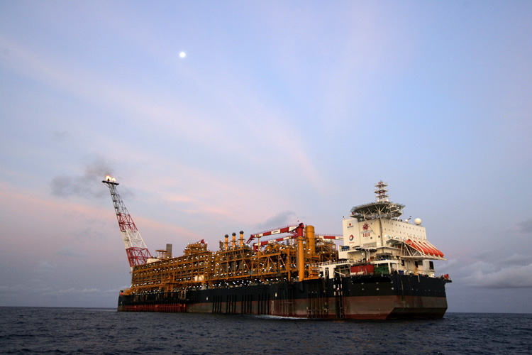 Der USA Bären-Thread 249445