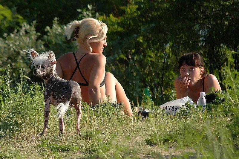 1066.DAX-Tipp-Spiel, Mittwoch 24.06.2009 240546