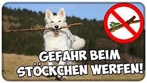 Steinhoff International Holdings N.V. 1158155