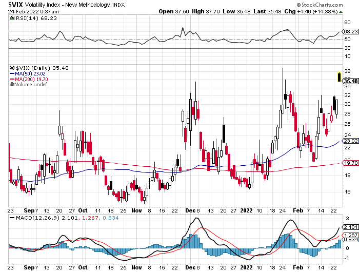 Der USA Bären-Thread 1301434