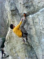 VG Gold ( ISIN: CA9182161021 ) 141538