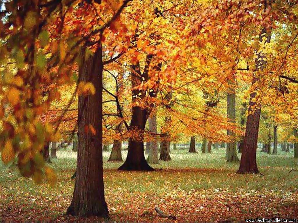 1.137.DAX Tipp-Spiel, Donnerstag,01.10.09 263257