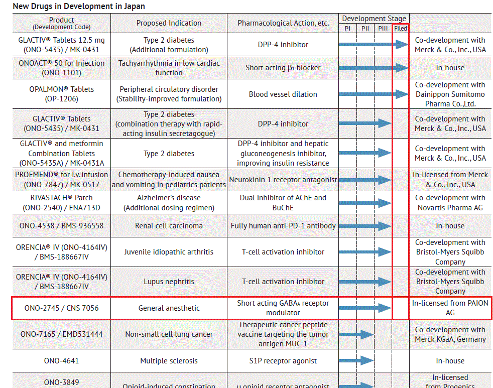PAION Eine Fledermaus lernt wieder fliegen 699149