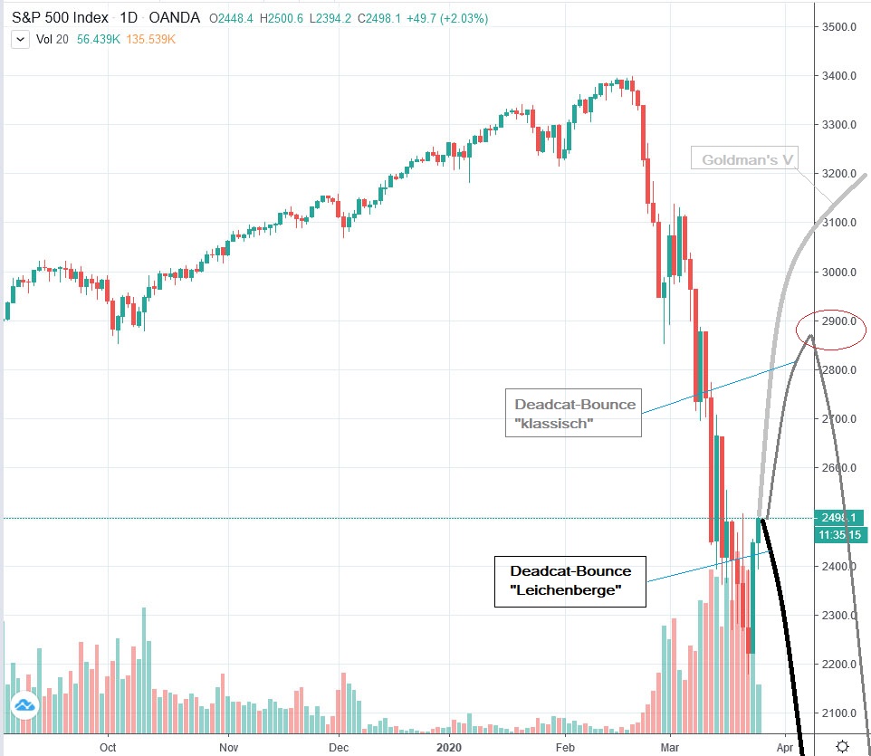Der USA Bären-Thread 1174182