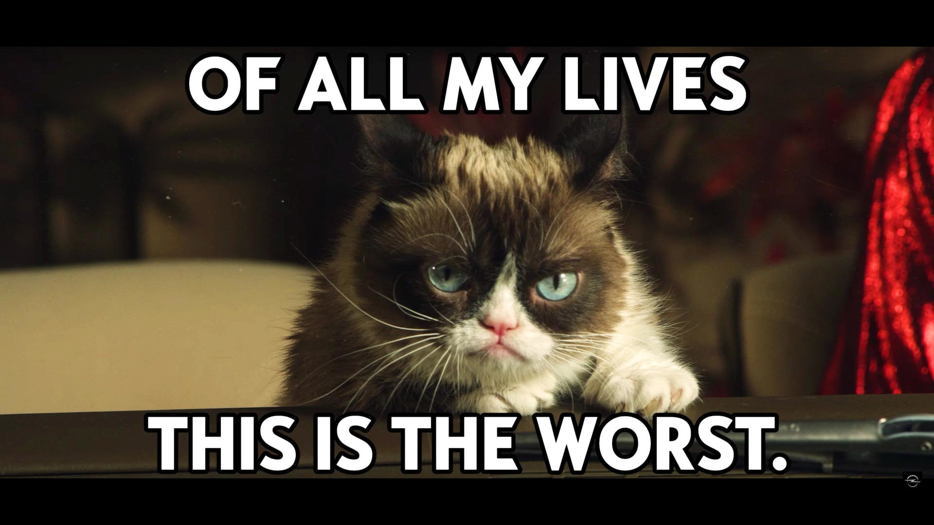 Wenn das Gold redet, dann schweigt die Welt! 1136358