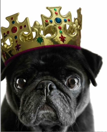 Starke Zukunft für P7Sat1 1164540