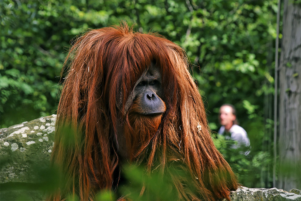 801.DAX Tipp-Spiel, Freitag, 04.06.08, 17:45 Uhr 167511