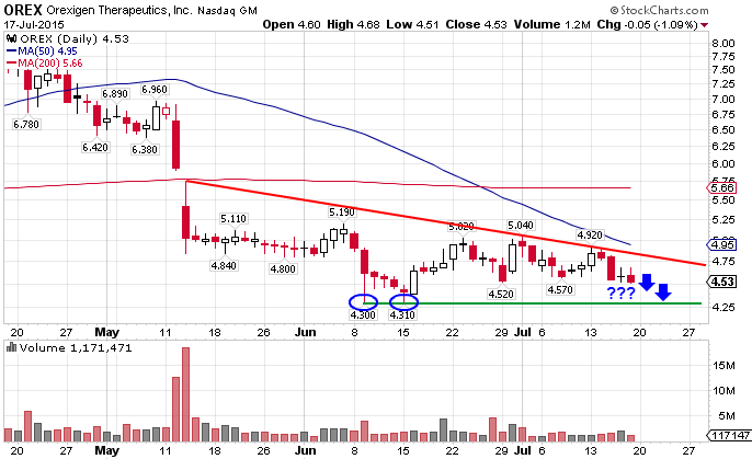 Orexigen - Alles nichts oder am 31.Januar 842039