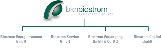 Massiver positiver Kursausschlag bei BKN Biostrom 399062