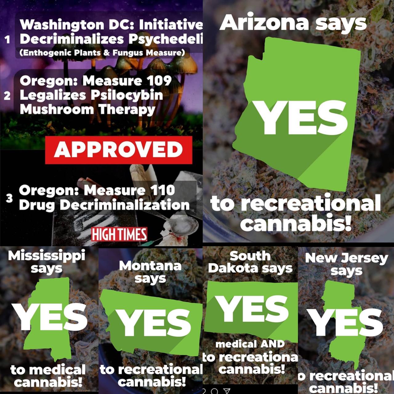 General Cannabis - Wkn: A14VV9 - Aktie 1210847