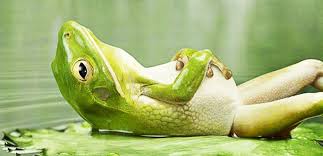 AEZS vs. KERX 971930