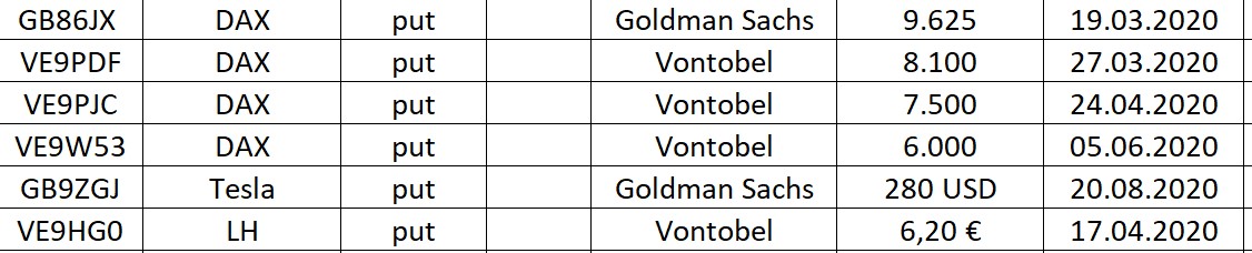 Corona Portfolio Short 1167465