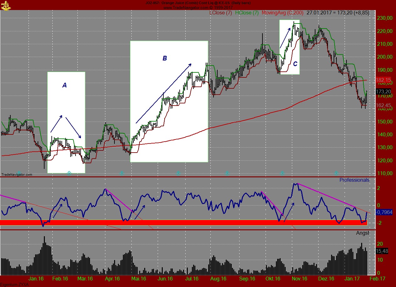 Endlich erfolgreiches Trading mit Rohstoffen 967743