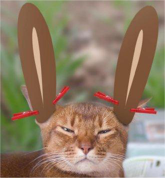 ▶ TTT - Gründonnerstag, 20.03.2008 155612