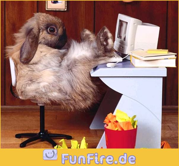 K+S: 70 Euro und mehr sind drin 498926