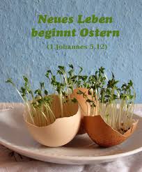 QuoVadisDax - das Original - Nachfolgethread 902997