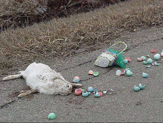 Thompson Creek Metals (Blue Pearl Mng) 91558