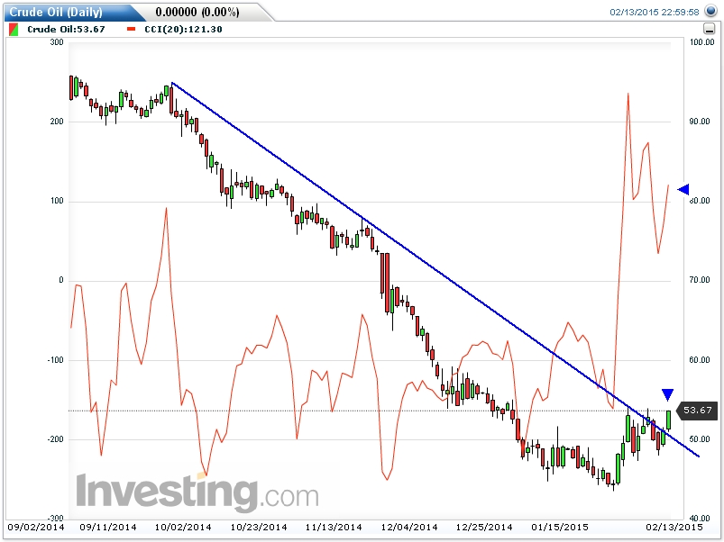 Der USA Bären-Thread 799391