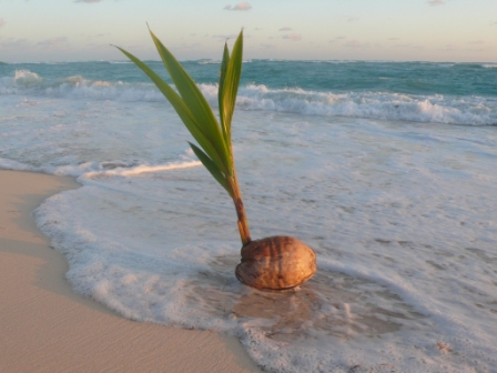 3.xxx.DAX Tipp-Spiel, Montag, 01.05.2017,17.45 H 986759