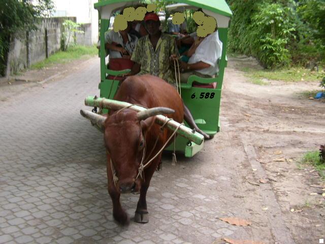 846.DAX-Tipp-Spiel* Freitag*08.08.08-17.45 Uhr 179015