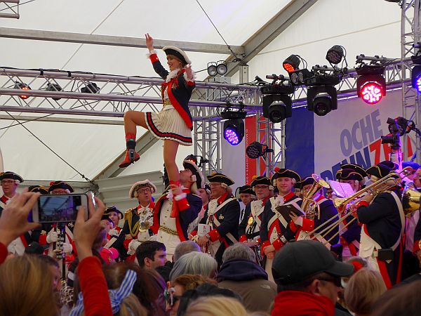 PAION Eine Fledermaus lernt wieder fliegen 974260