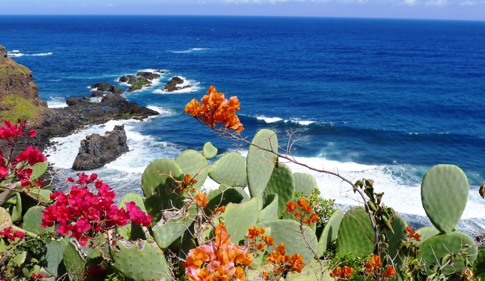 3.085.DAX Tipp-Spiel, Montag, 29.05.2017,17.45 H 992282