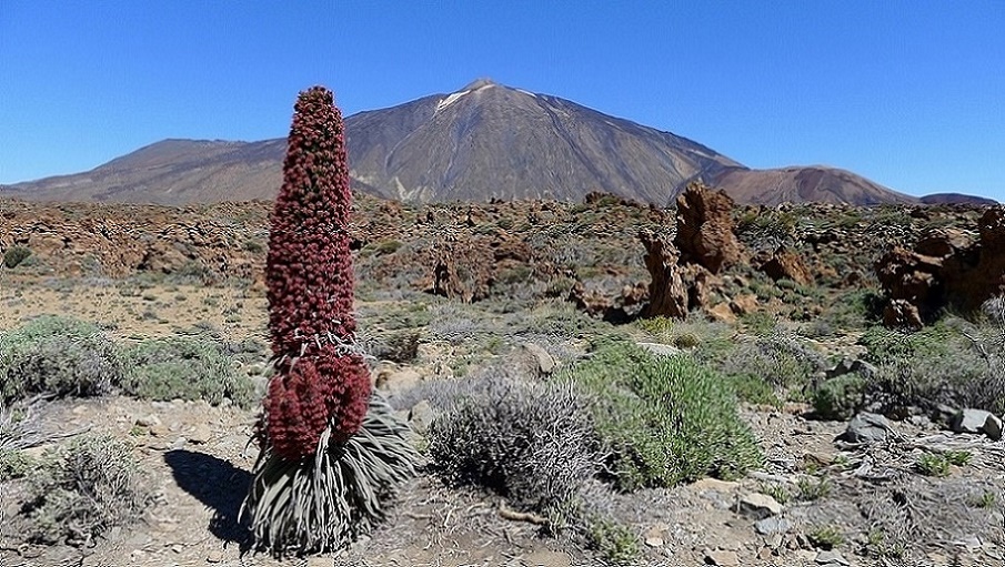 2.819. KEIN DAX Tipp-Spiel am Montag, 16.05.2016 914048