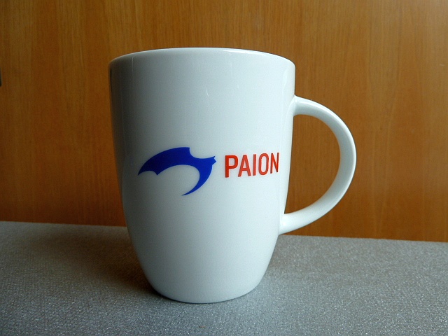 PAION Eine Fledermaus lernt wieder fliegen 686700