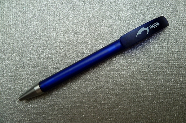 PAION Eine Fledermaus lernt wieder fliegen 732693