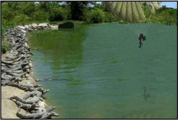 Conergy, wie Phönix aus der Asche ? 286984